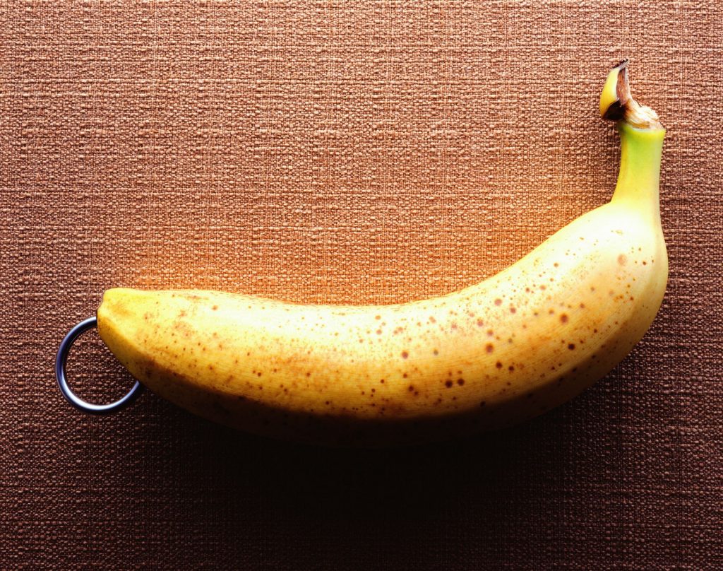 Penis Piercing