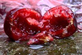 Food and Health: Common Foods that can be Toxic